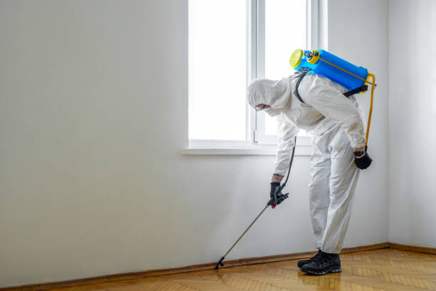 Wildlife Control Services in Cumberland Hill, RI