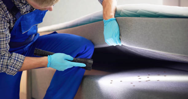 Best Pest Removal Services  in Cumberland Hill, RI