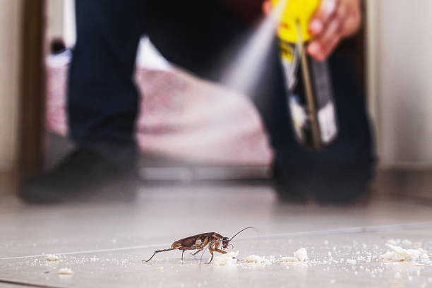 Best Pest Control Near Me in Cumberland Hill, RI