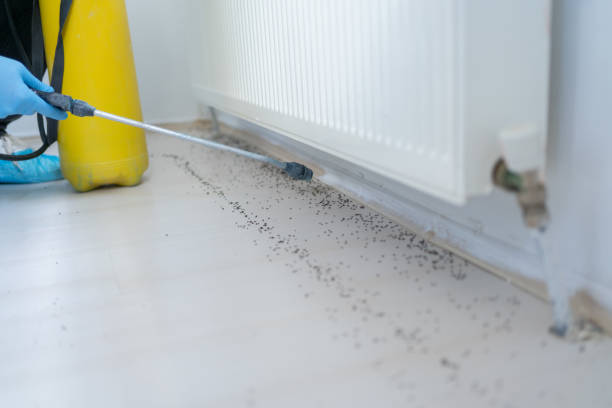 Best Pest Inspection Near Me  in Cumberland Hill, RI
