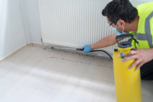 Professional Pest Control in Cumberland Hill, RI