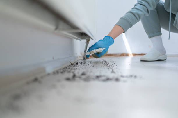 Best Best Pest Control Companies  in Cumberland Hill, RI